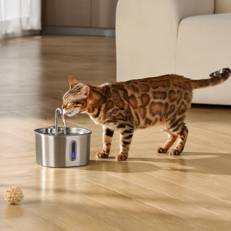 CAT WATER FOUNTAIN