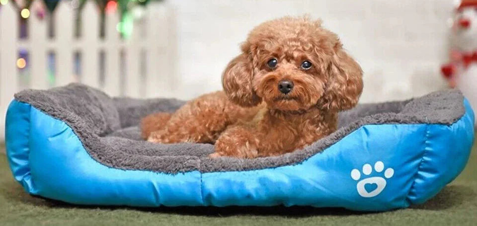 Calming Sleep Doggy Warped Bed
