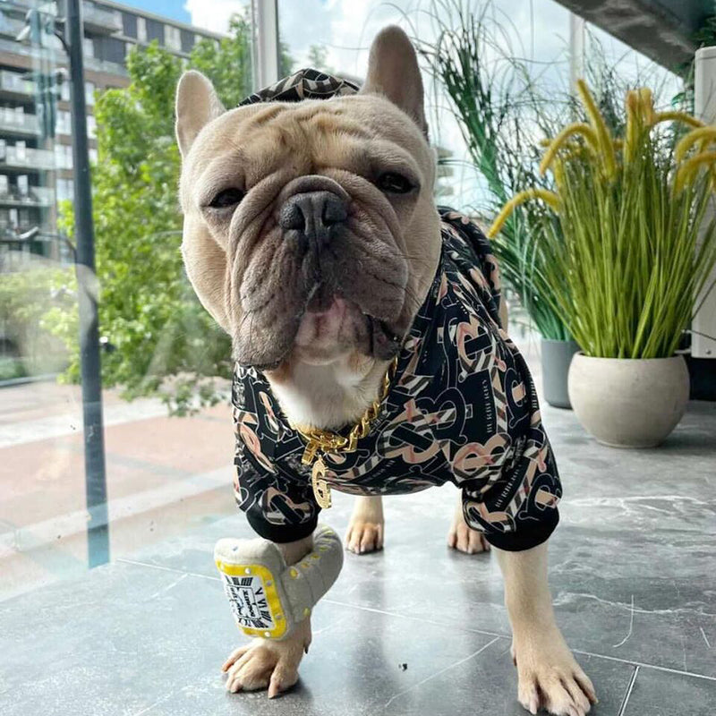Doggo Autumn Thickened Golden Hoodie