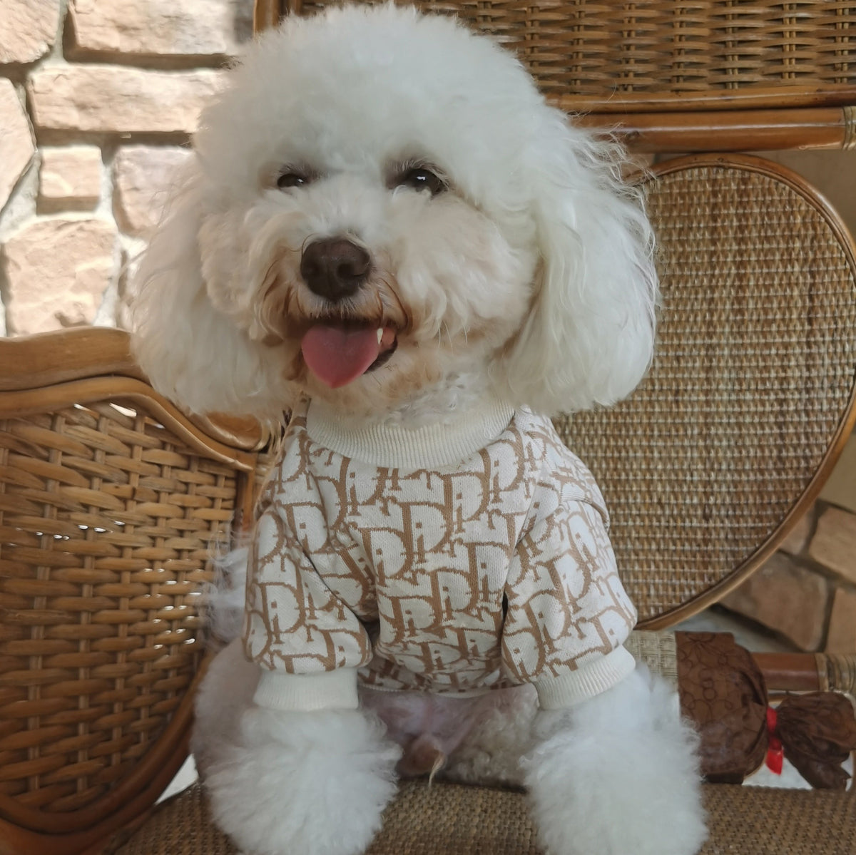 Big Dog DD Snuggle Knit Sweater