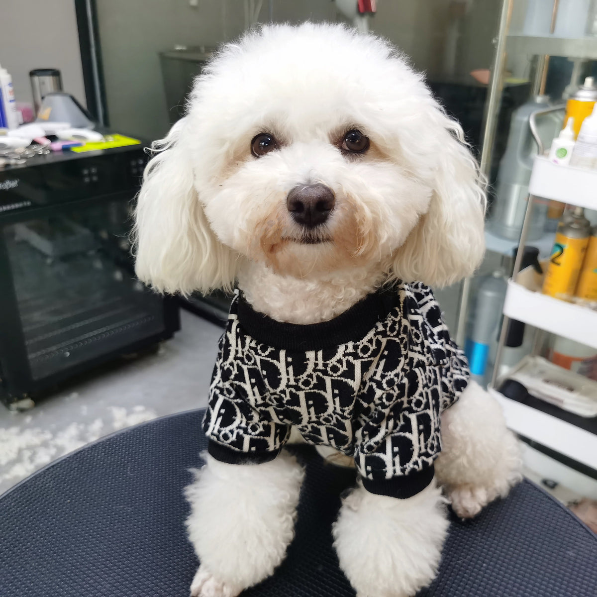 Big Dog DD Snuggle Knit Sweater