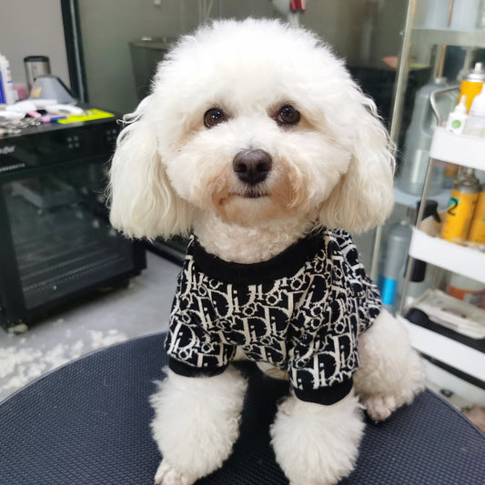 Big Dog DD Snuggle Knit Sweater