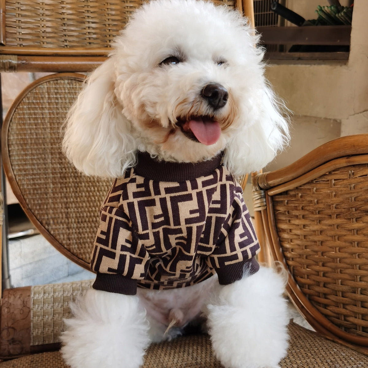 Big Dog Frosty Day Sweater