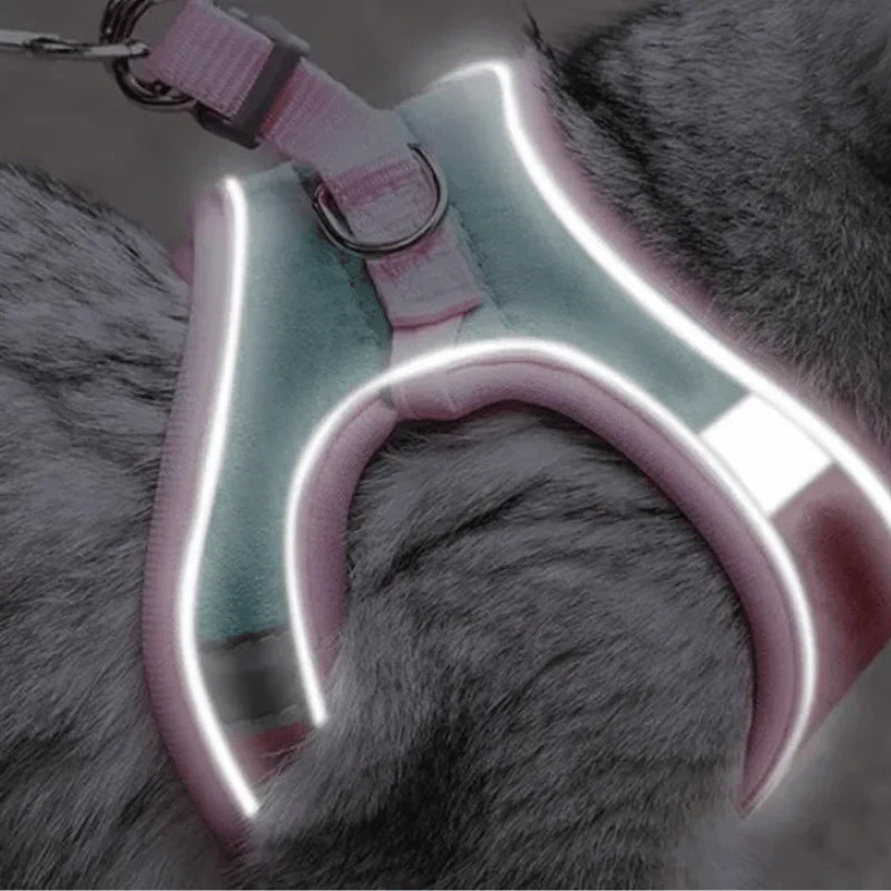 Cat Harness + Leash