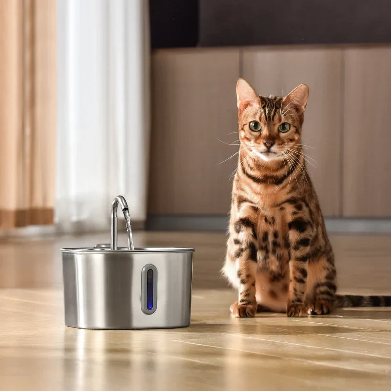 CAT WATER FOUNTAIN