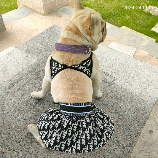 Canine Coastline Dog Beach Fire Wear