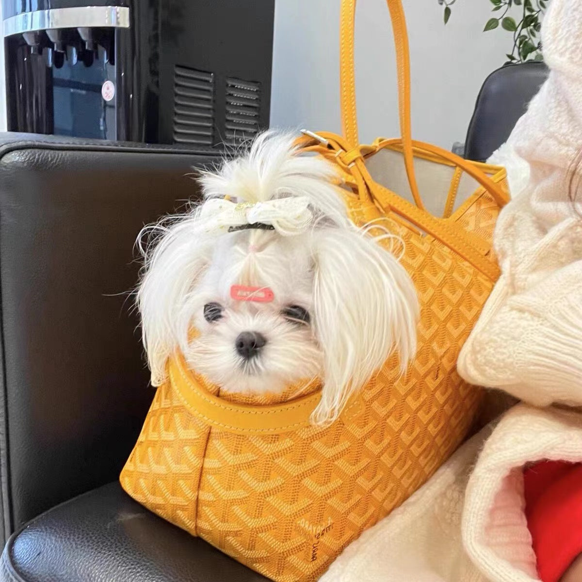 Pet Cool Bag