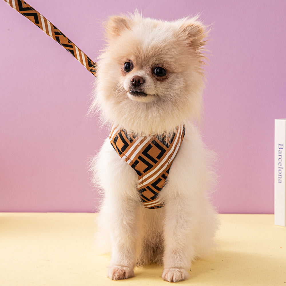 Furry Classy Harness & Leash Dope Set