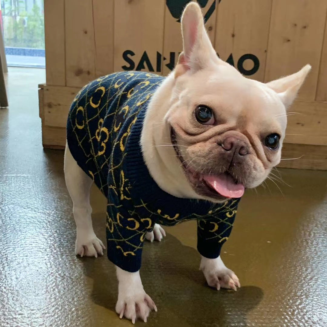 Hype Doggo Drip Clean Sweater