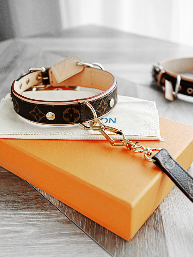 Amelia Only Next Collar