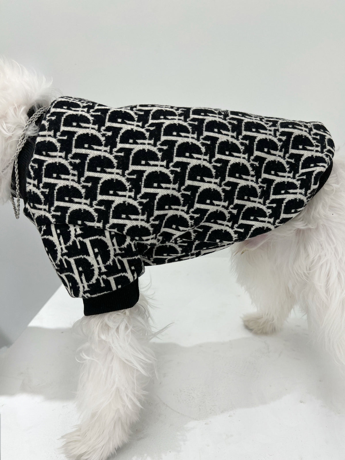 Big Dog DD Cozy Winter Sweater