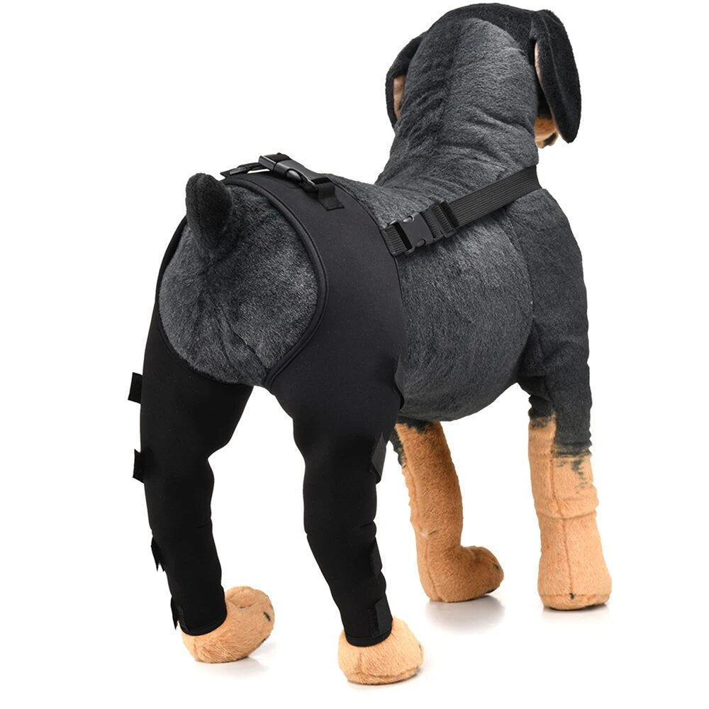 Doggo Knee Brace Sweet Straps