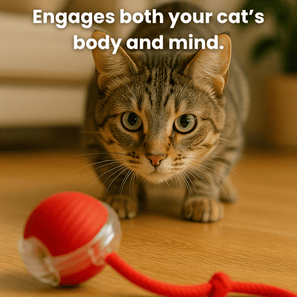 INTERACTIVE SMART BALL