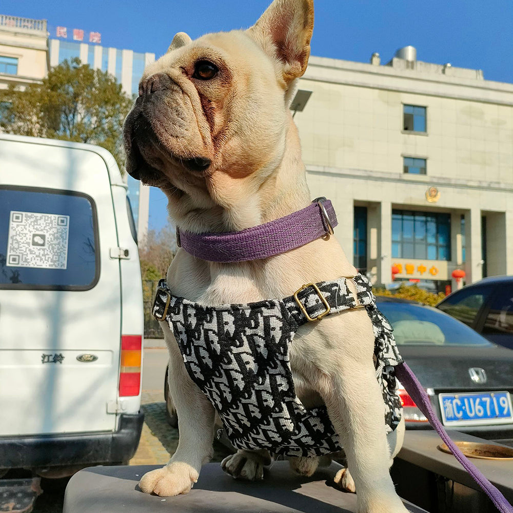 Timeless Tailored Dog Prime Harness