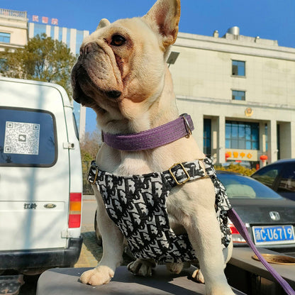 Timeless Tailored Dog Prime Harness