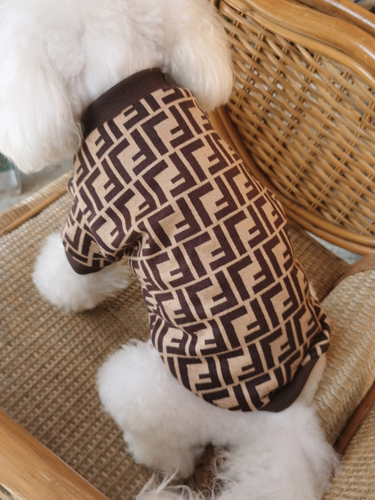Big Dog Frosty Day Sweater