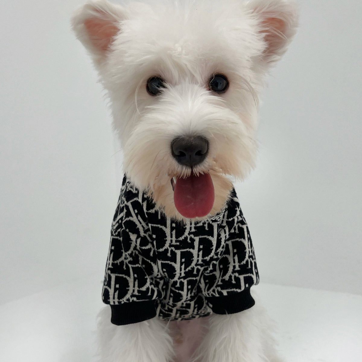 Big Dog DD Cozy Winter Sweater