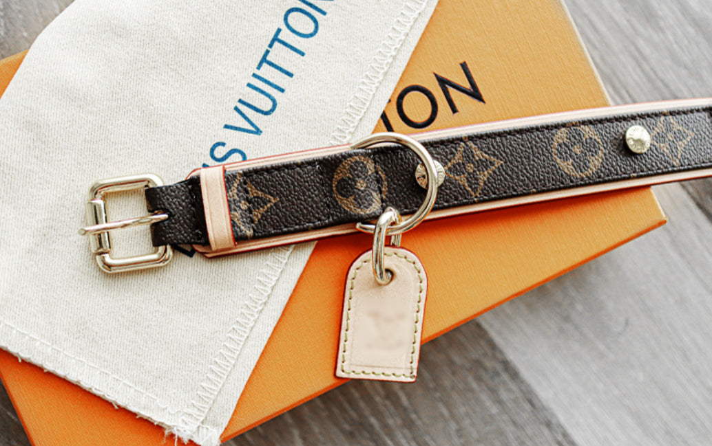 Amelia Only Next Collar