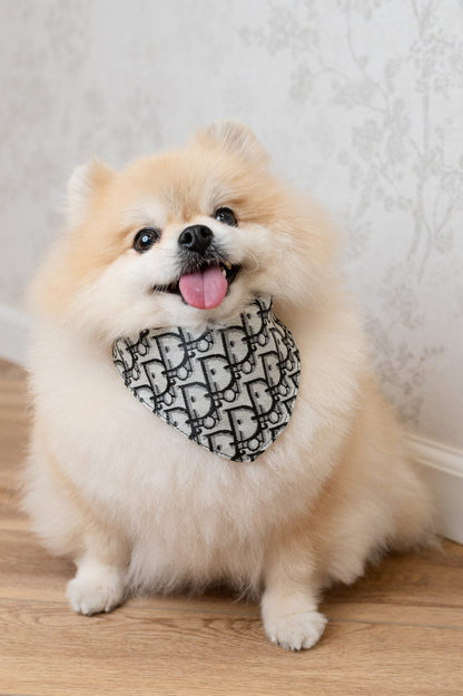 Abstract DD Scarf