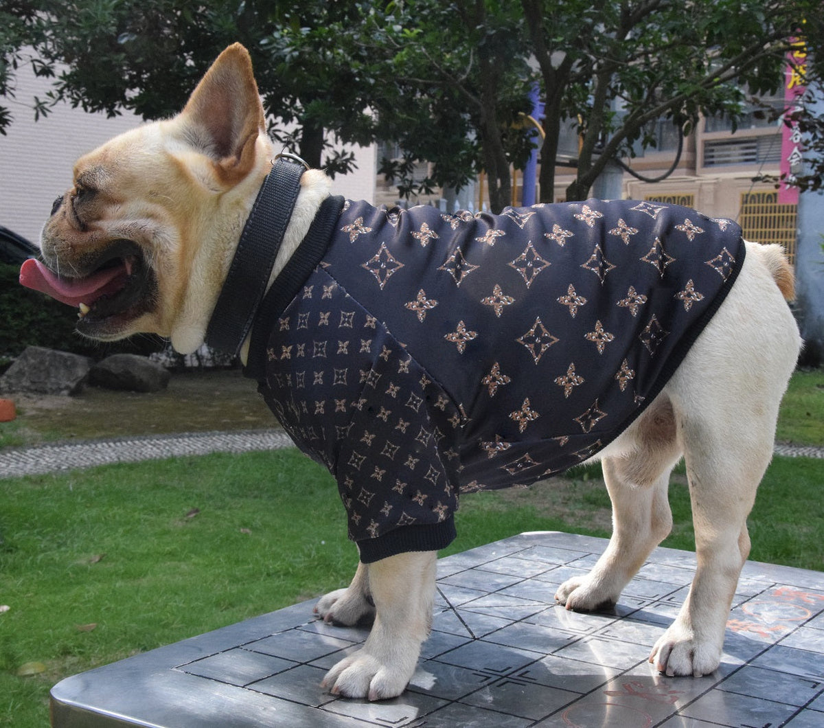 Hype Doggo  Sweater