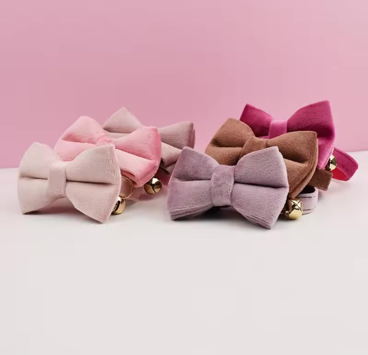 Velvet Charme Collars And Bow Fresh Ties