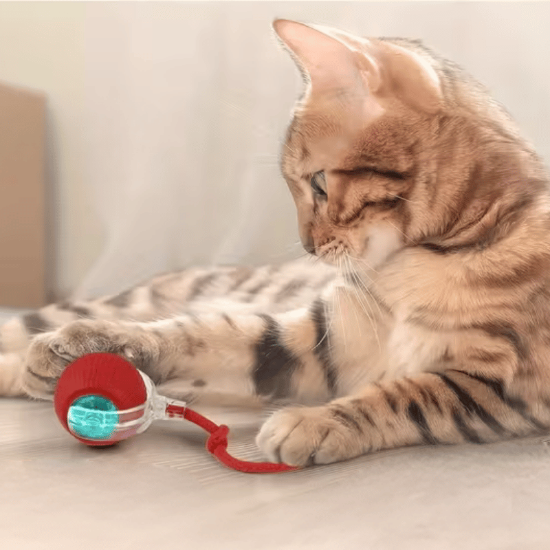 INTERACTIVE SMART BALL