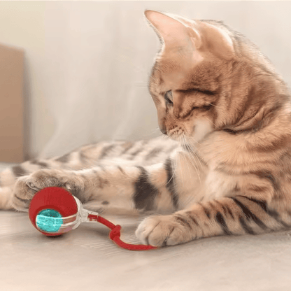 INTERACTIVE SMART BALL