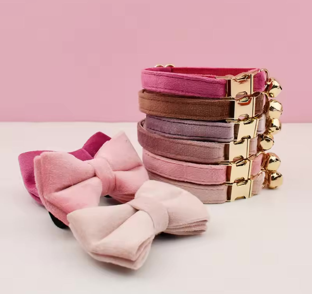 Velvet Charme Collars And Bow Fresh Ties