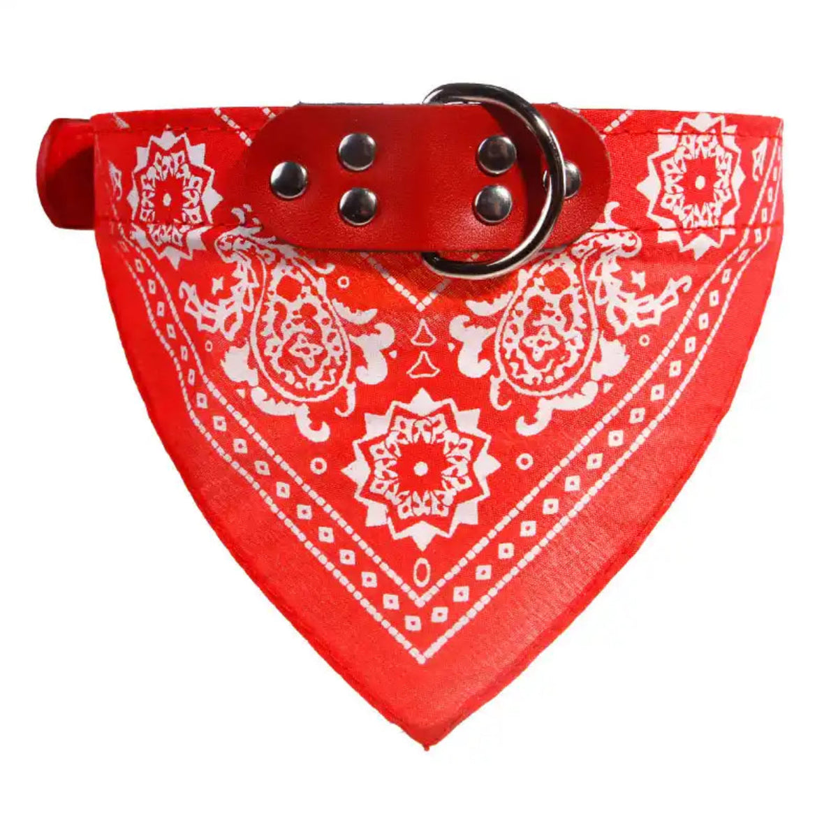 The Outlaw Throwie Bandana