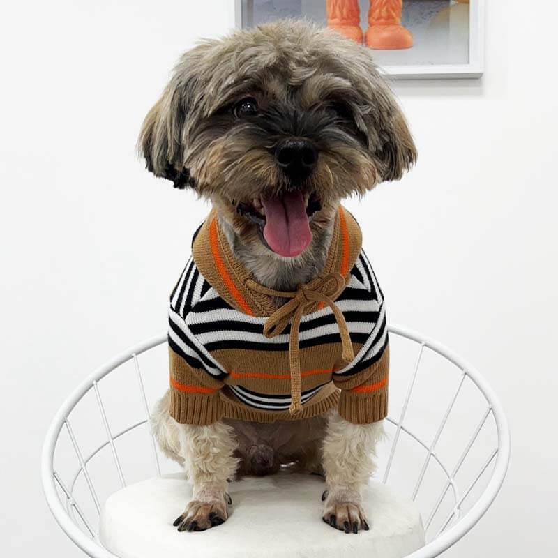 Happy Hoodie For Dogs