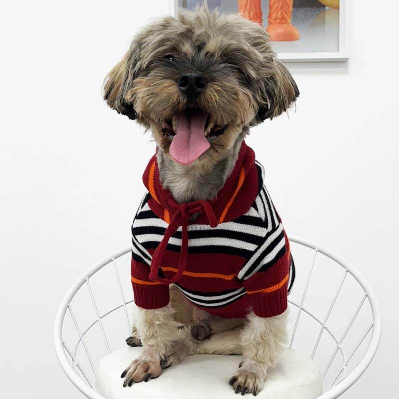 Happy Hoodie For Dogs