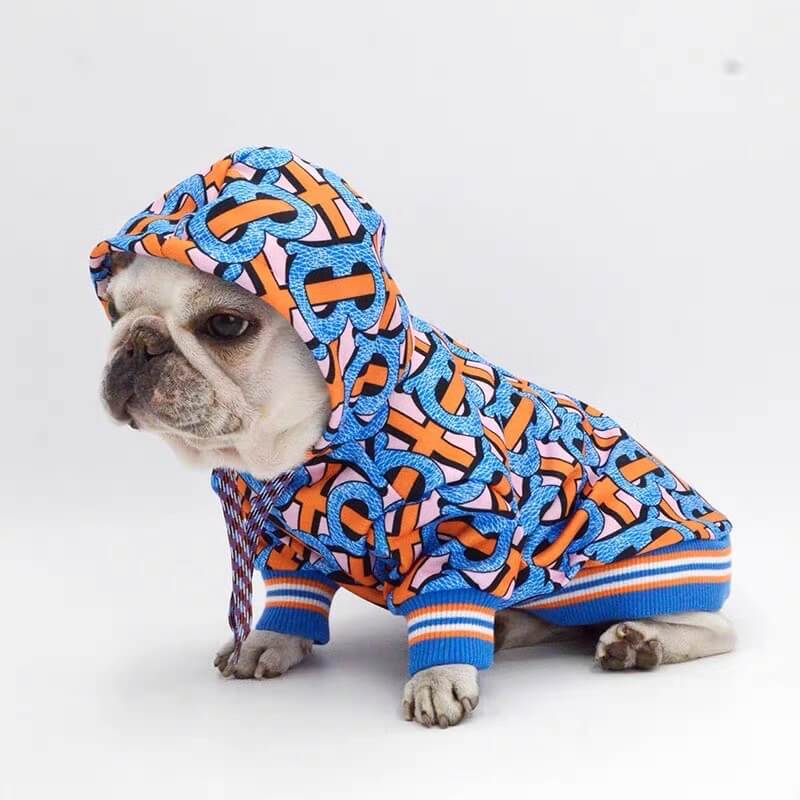 Blue Dog Lit Hoodie