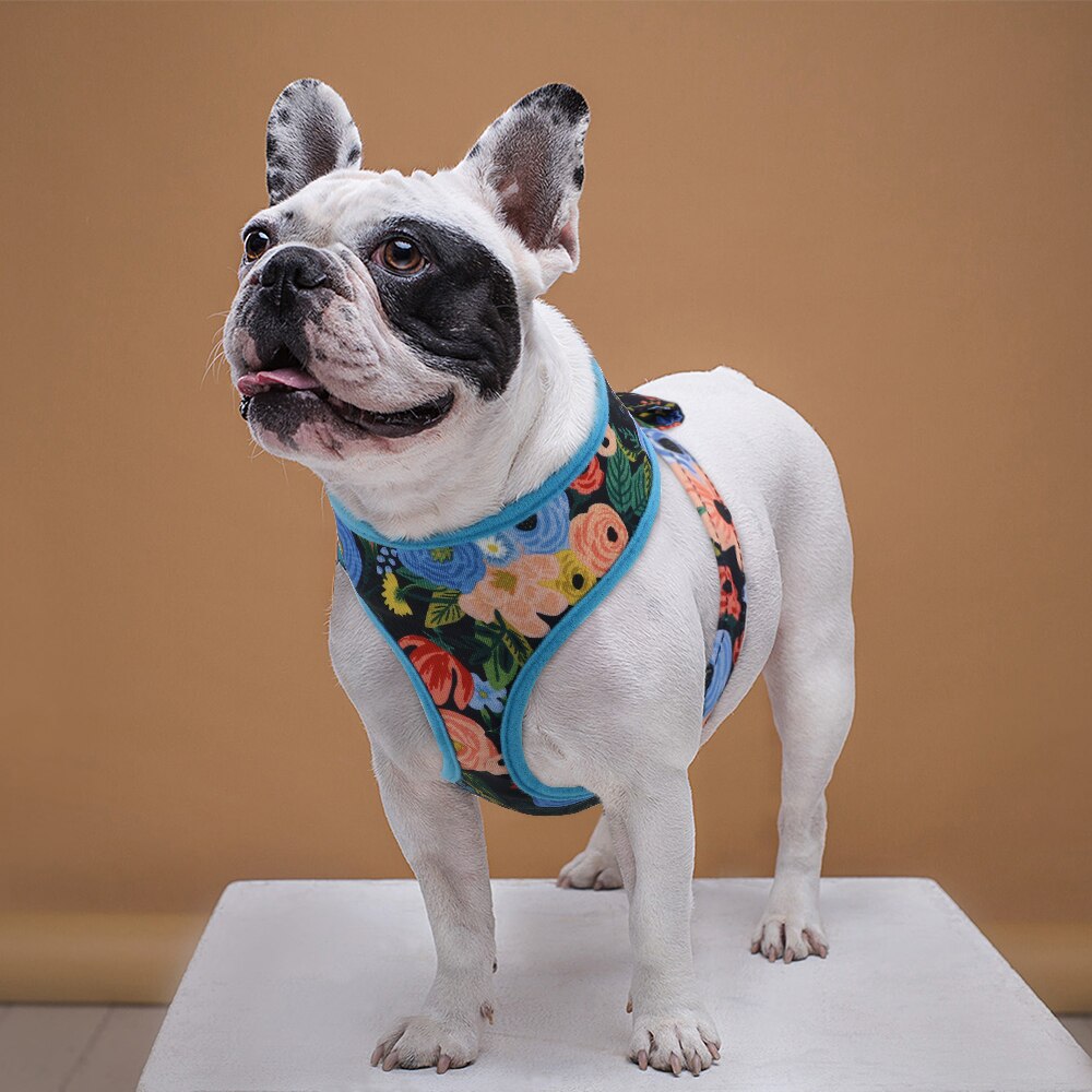 Cute Printed Flower Adjustable Backspin Harness