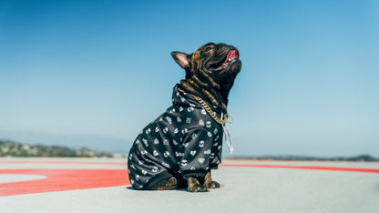 Doggy Blvd X Slothacid Collab Dope Hoodie