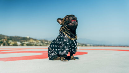 Doggy Blvd X Slothacid Collab Dope Hoodie
