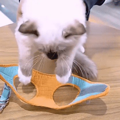 Cat Harness + Leash