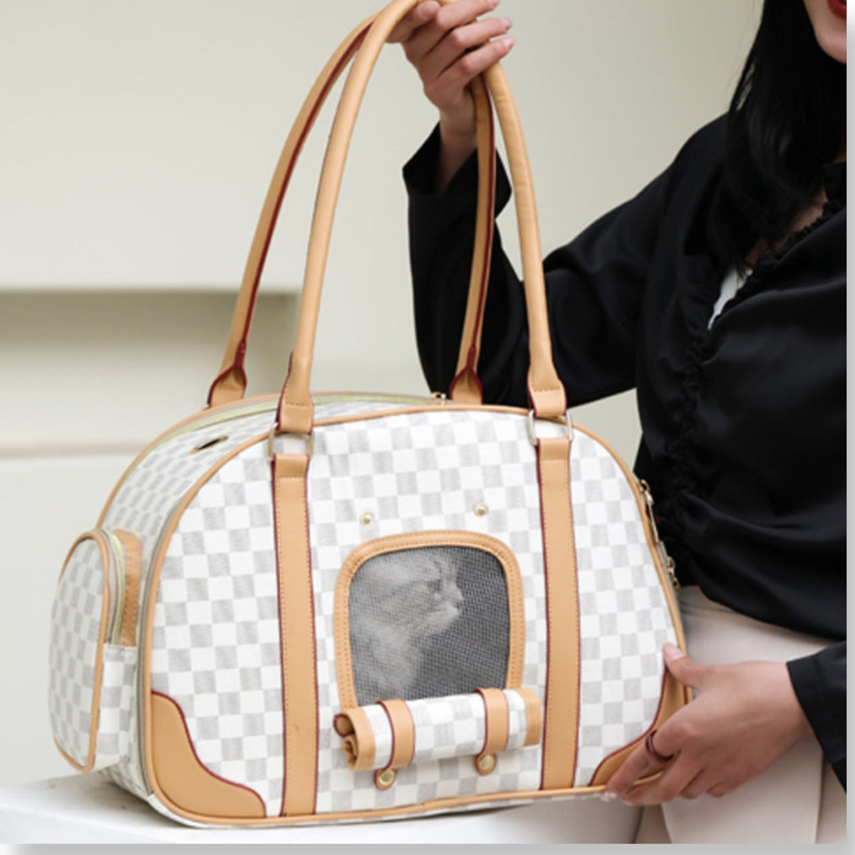 Luxina Carrier Airline Moody Bag