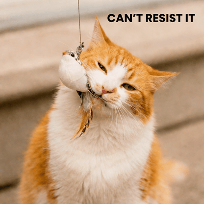 BIRD HUNTING TOY