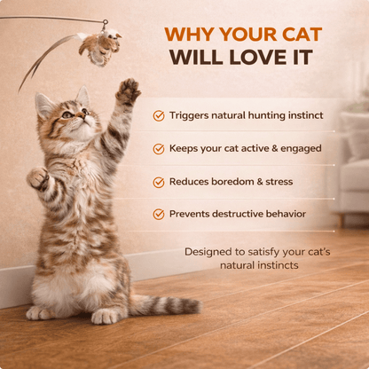 BIRD HUNTING TOY