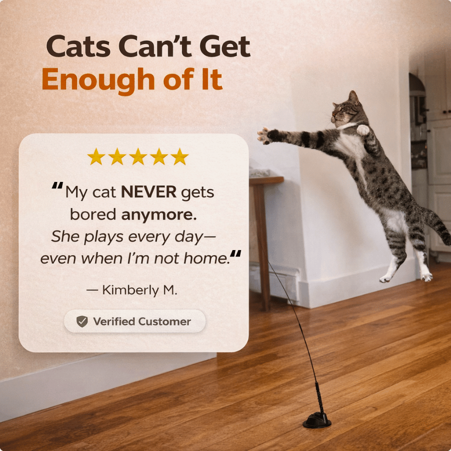 BIRD HUNTING TOY