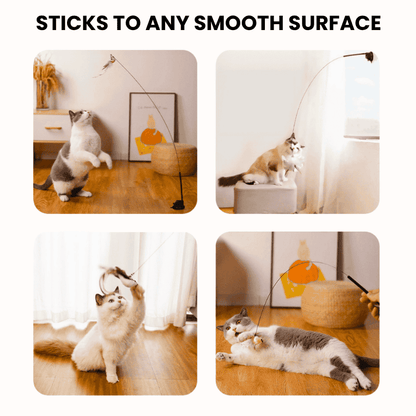 BIRD HUNTING TOY