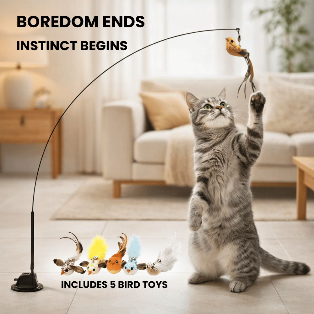 BIRD HUNTING TOY