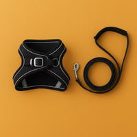 Cat Harness + Leash