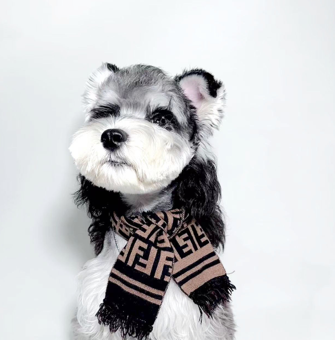 Pendog Brown Flex Scarf