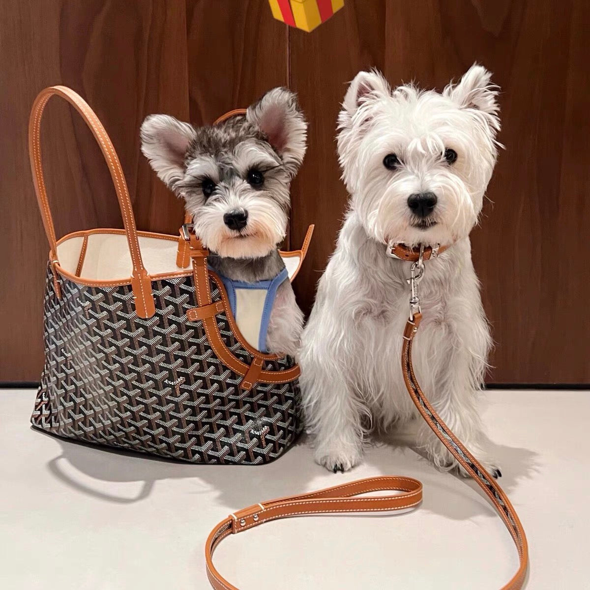 Pet Cool Bag