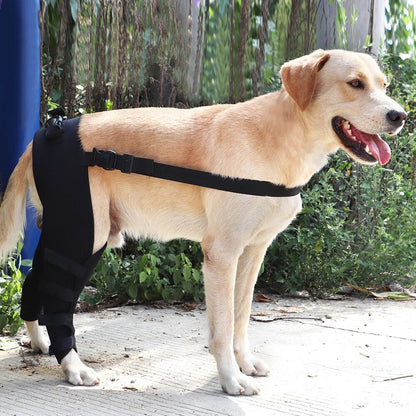 Doggo Knee Brace Sweet Straps