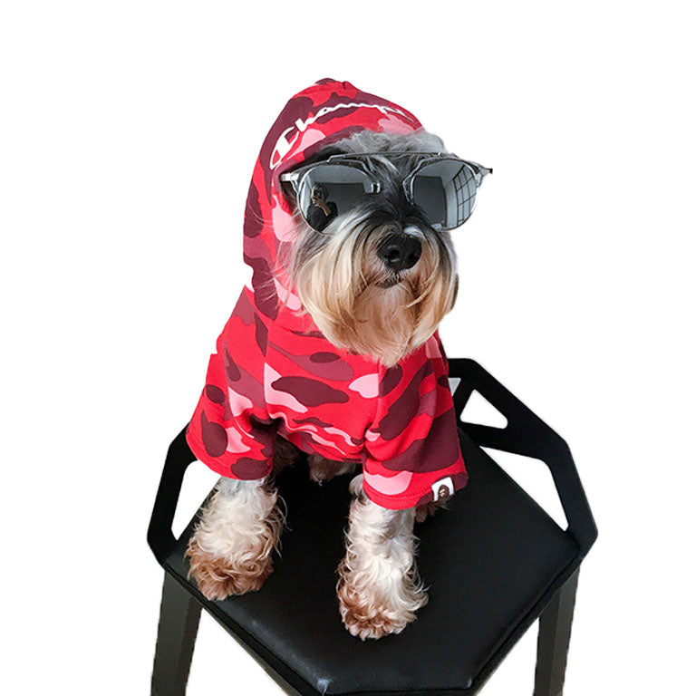Cute Dog Hoodie For Small Dog