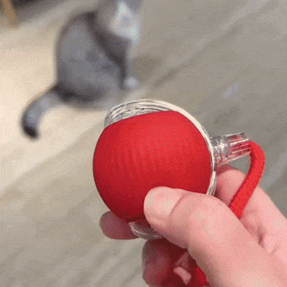 INTERACTIVE SMART BALL
