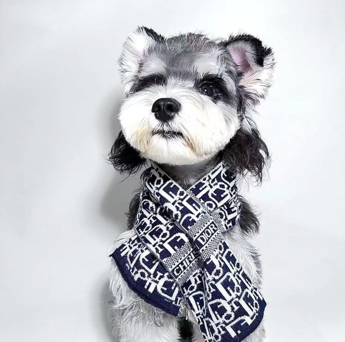 Doggo Pupior Sketchy Scarf