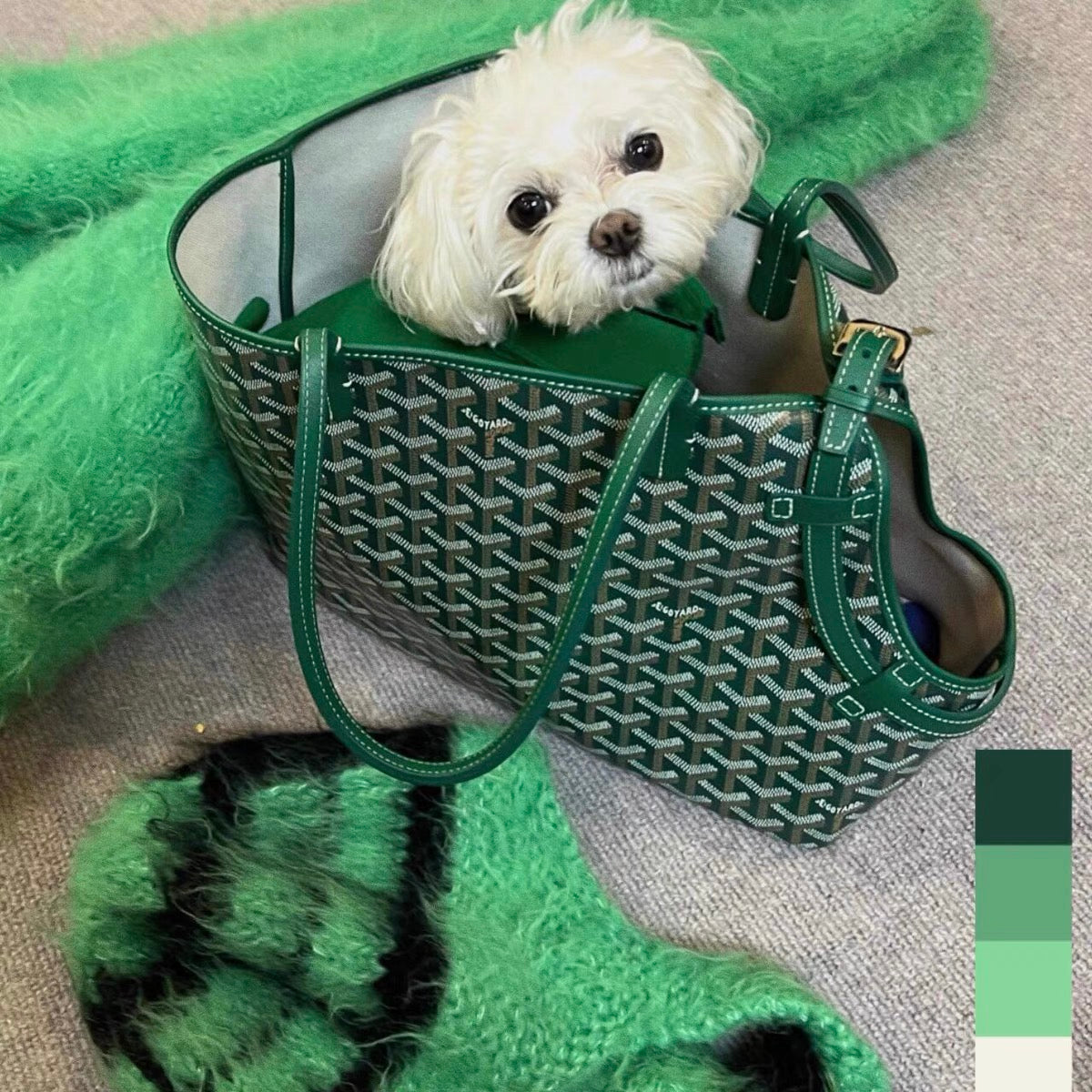 Pet Cool Bag